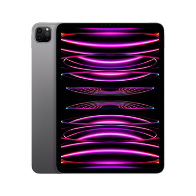 iPad Pro 4e génération 11'' Puce M2 (2022), 128 Go - WiFi - Gris sidéral