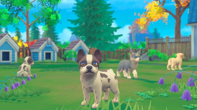 Microids Il mio universo: il mio bambino - Cani e gatti Standard