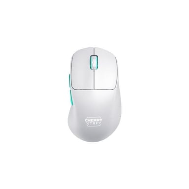 Souris Optique Sans Fil Cherry M64
