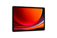Samsung Galaxy Tab S9 SM-X716B 5G 256 GB 27,9 cm (11'') Qualcomm Snapdragon 12 GB Wi-Fi 6 (802.11ax) Android 13 Grafito