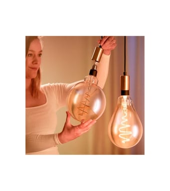 WiZ Giant vintage Globe lampadina collegata Bianco variabile E27 25W