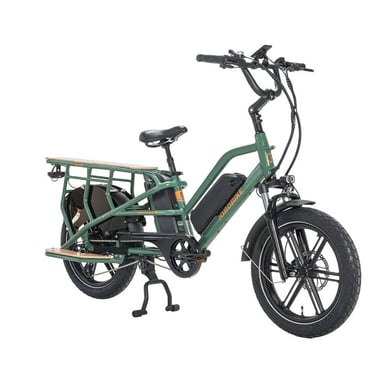 Jobobike Transer-n50 Bicicletta Elettrica Batteria 48v 15ah Bicicletta Elettrica