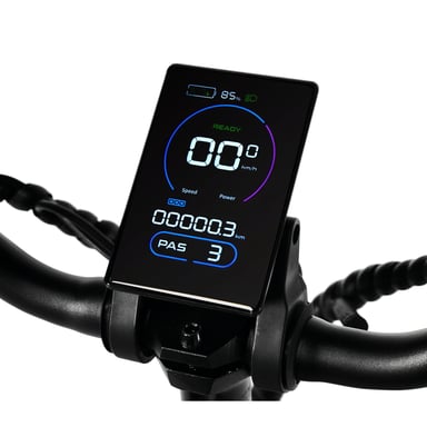 Bici elettrica pieghevole PIXAR Star1 da 20 pollici, batteria da 250 W, 48 V e 15 Ah