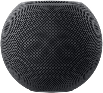 Altavoz portátil HomePod mini Gris espacial