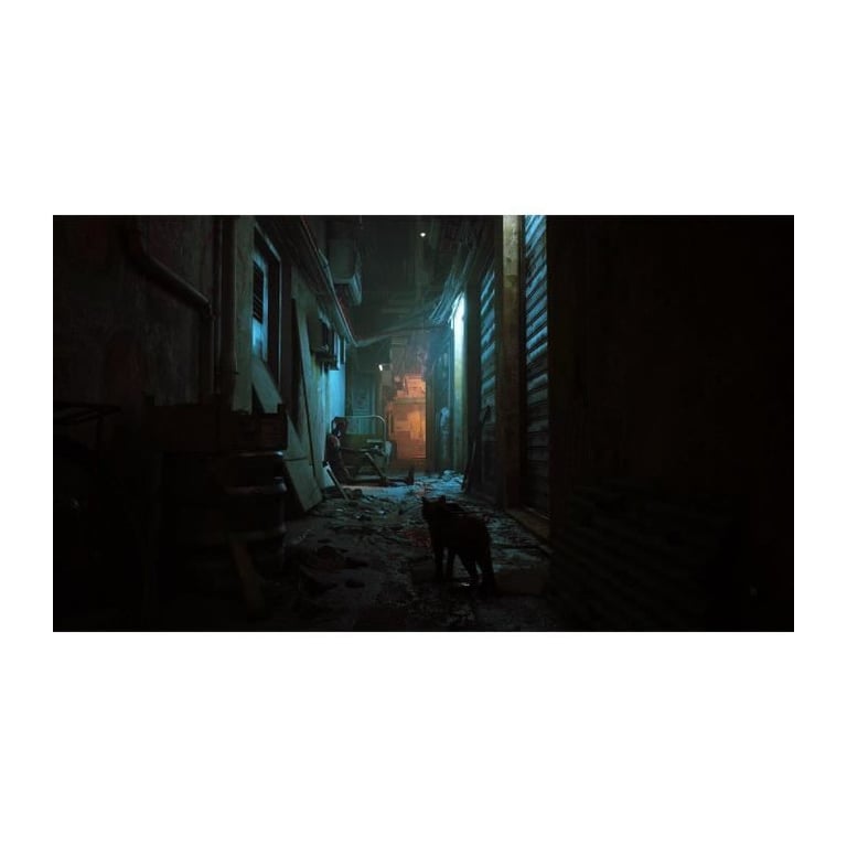 Stray Jeu PS4 - Neuf