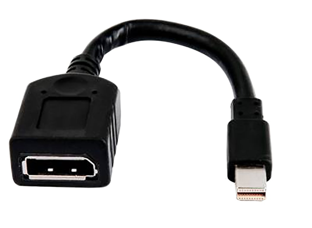 HP Single miniDP to DP Adapter Cable - vue 4