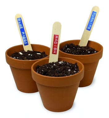 DYMO Junior EM impresora de etiquetas