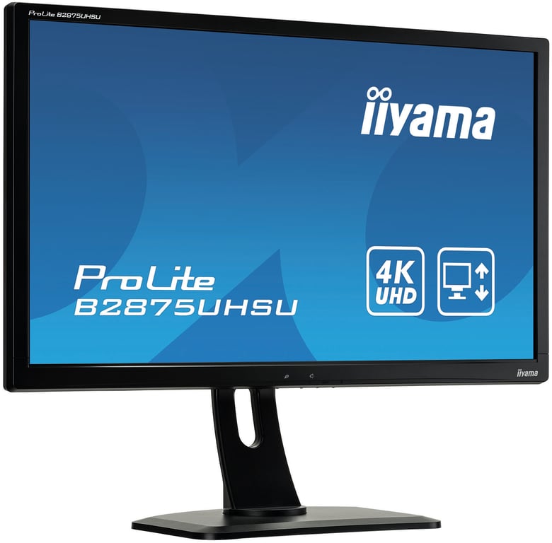 iiyama ProLite B2875UHSU B1 Écran LED 28 3840 x 2160 4K UHD @ 60 Hz TN 300 cdm² 1000:1 1 ms HDMI DVI DisplayPort VGA haut parleurs - vue 5