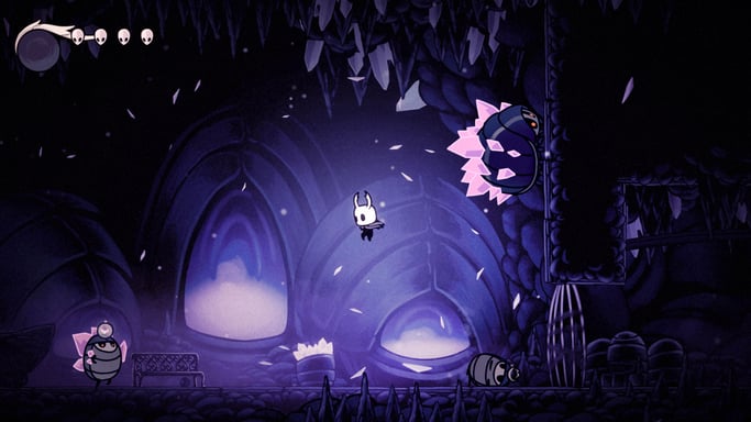 Hollow Knight SWITCH