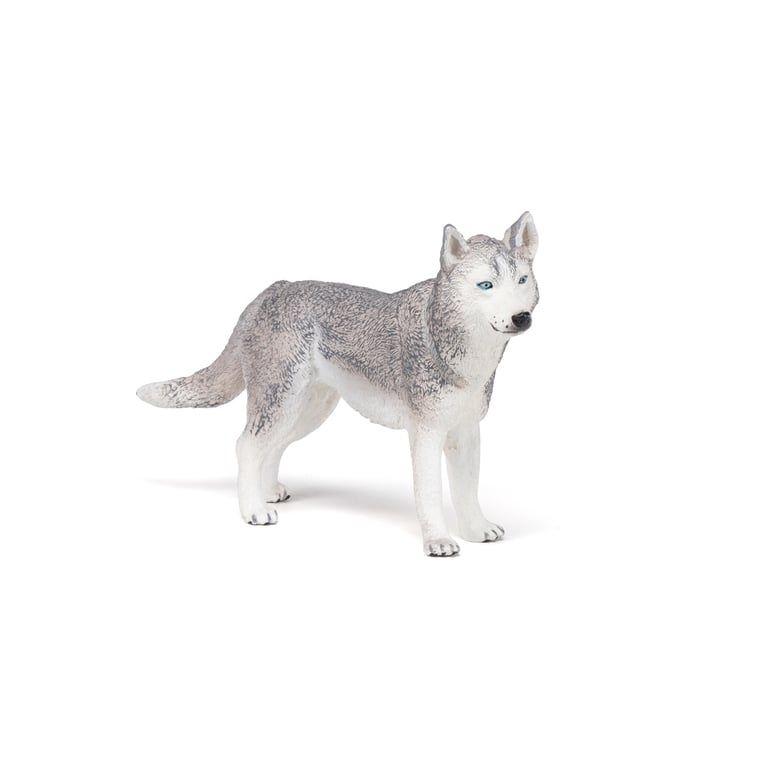 Papo Husky de Sibérie Neuf - vue 2