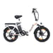 Bicicleta eléctrica Cheevalry C16 de 20 pulgadas, 250 W, 48 V, 16 Ah, plegable, para ciudad, para adultos
