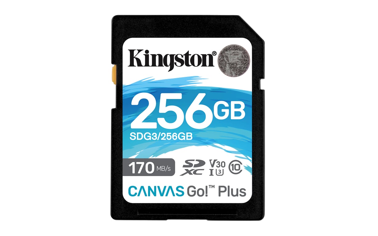 Kingston Technology Canvas Go! Plus Carte SDXC Canvas Go Plus 170R C10 UHS-I U3 V30 de 256 Go - Neuf