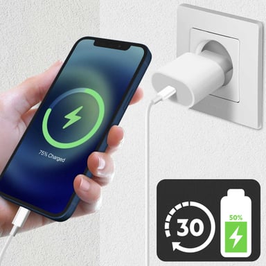 Chargeur Secteur USB-C 20W + Câble Lightning Power Delivery Original Apple Blanc