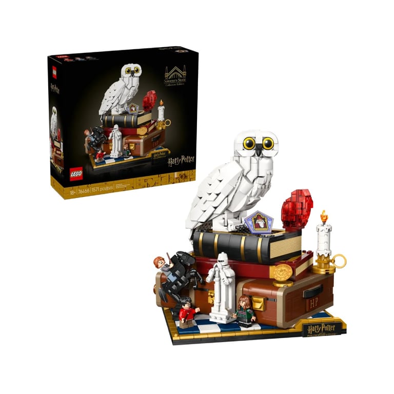 LEGO Harry Potter L'École des Sorciers Édition Collector 76466 - vue 6