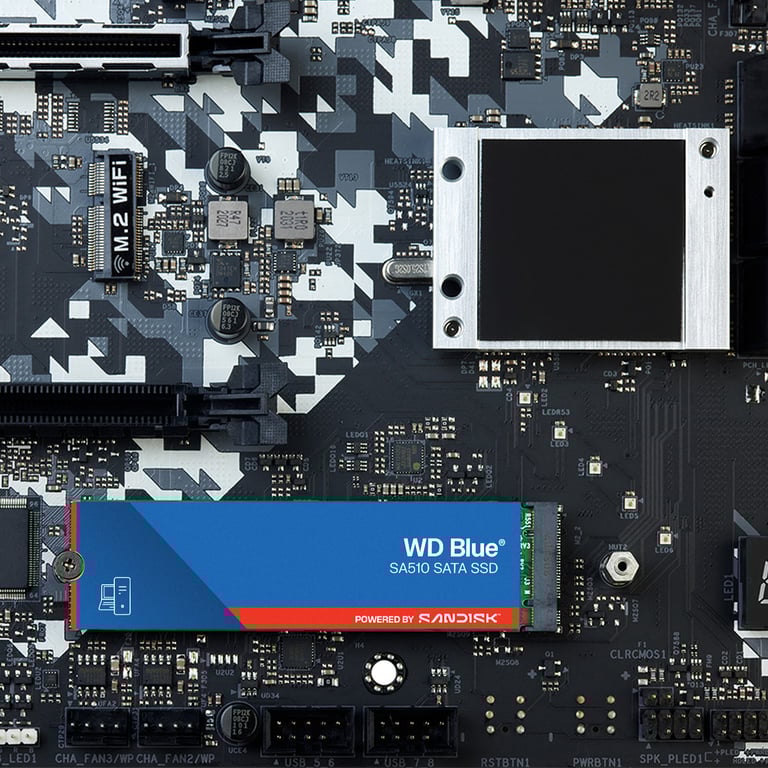 Western Digital SSD WD SA510 .2 - vue 8