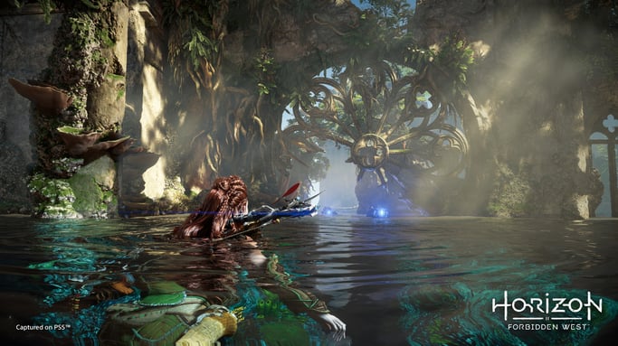 Jeu PS4 Horizon Forbidden West Edition standard