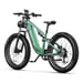 Duotts E26 Vélo électrique - Moteur 750W Batterie 48V20AH 26*4.0 Pouces Pneus Larges Freins Hydrauliques Avant et Arrière -  Vert Violet