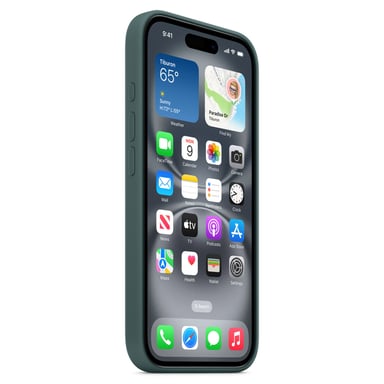 Apple Coque en silicone avec MagSafe pour iPhone 16 Plus - Vert lacustre Apple (brand) iPhone 16 Plus
