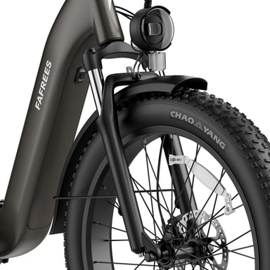 Bicicletta elettrica FAFREES F26 ROVER con batteria da 48 V 20 Ah e motore da 250 W - grigia