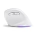 Souris Ergonomique Sans Fil - BLUESTORK - ERGO - Lumineuse - PC/MAC - Noir