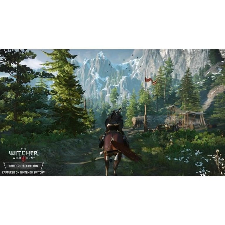 The Witcher 3: Wild Hunt Nintendo Switch Nintendo Le Jeu Vidéo - vue 5