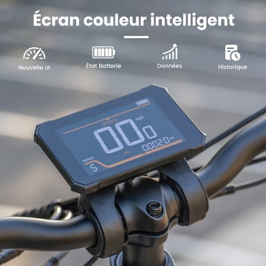 Bicicletta elettrica pieghevole KINGBULL Literider 2.0, batteria rimovibile da 48 V 13,5 Ah, cambio Shimano a 7 velocità - Verde