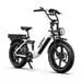 Onesport OT08 Pro 20'' Bici elettrica 500W Doppia batteria 48V 36AH Full Suspension Step-Thru Fat Tire E-Bike