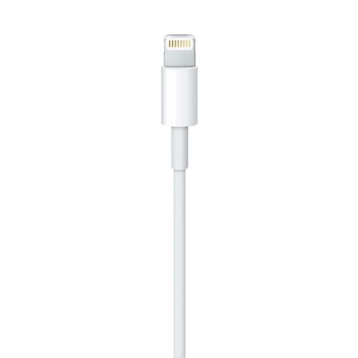 Apple Câble Lightning vers USB (0,5 m)
