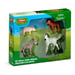 Set de figurines pour enfants Schleich Farm World 42740 animaux de la ferme bébé (4 pièces) veau Highland poulain Knabstrupper porcelet ânon Multicolore