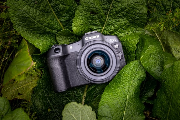 Canon EOS R8 + RF 24-50mm F4.5-6.3 IS STM Kit MILC 24,2 MP CMOS 6000 x 4000 Pixeles Negro