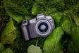 Canon EOS R8 + RF 24-50mm F4.5-6.3 IS STM Kit MILC 24,2 MP CMOS 6000 x 4000 Pixeles Negro