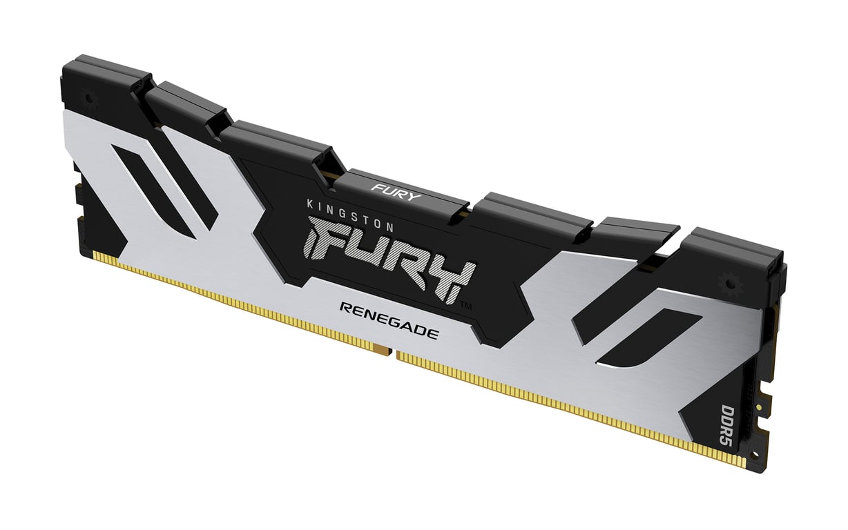Kingston Technology FURY 24 Go 7200 MT/s DDR5 CL38 DIMM Renegade Argent XMP - Neuf