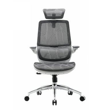 Sedia da ufficio ergonomica SIHOO M59AS - Braccioli regolabili 3D - Supporto lombare - Rete di alta qualità - Certificata BIFMA/SGS