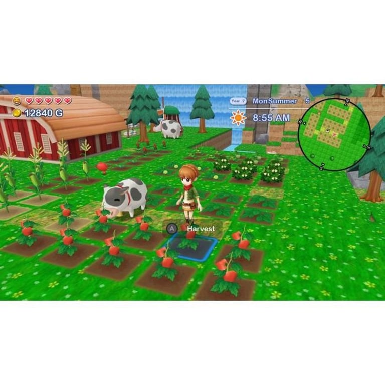 Harvest Moon The Lost Valley + Skytree Village - Edition Collector - Jeu Nintendo Switch - Neuf