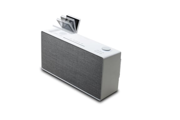 Pure 00-12130-00 altavoz portátil o de fiesta Altavoz monofónico portátil Gris, Blanco 100 W