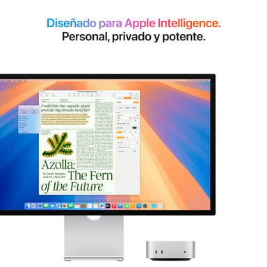 Apple Mac mini Apple M M4 16 Go 256 Go SSD macOS Sequoia Mini PC Argent