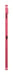 Galaxy Tab S10 Lite Wifi (10.9'') 128 Go, Corail (S Pen inclus)
