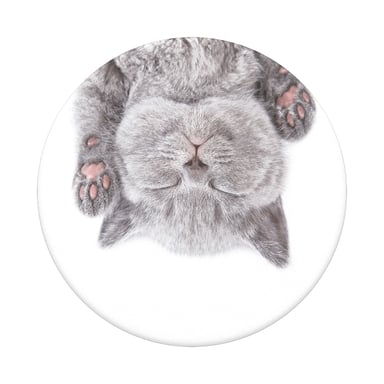PopGrip Cat Nap