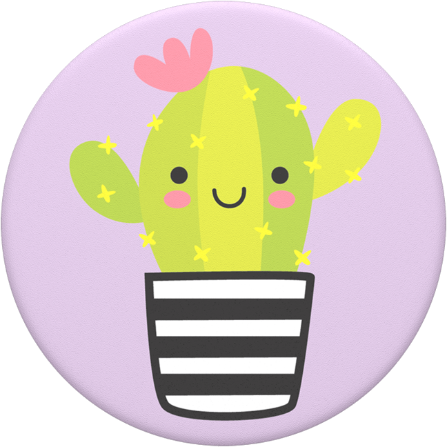 Cactus Pal