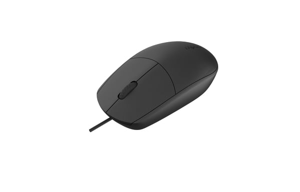 Rapoo N100-BK Mouse ottico ambidestro USB Type-A da 1600 DPI
