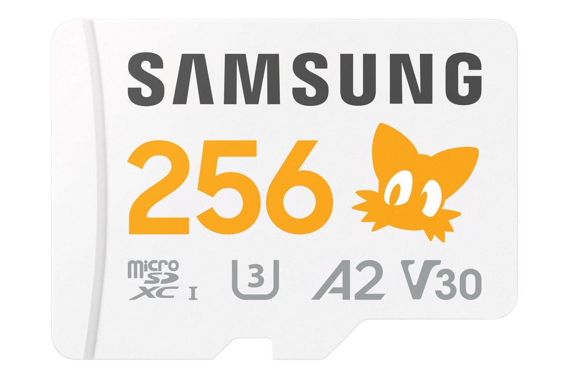 Samsung MB-MD256S 256 Go MicroSDXC UHS-I Classe 10 - Neuf