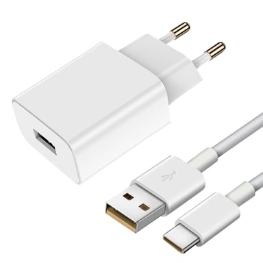 Chargeur Secteur USB et Câble USB-C Puissance 18W Original Vivo Blanc
