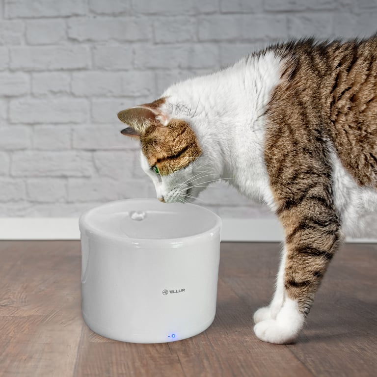 Dispensador de agua para mascotas Tellur Smart WiFi, 2L, Blanco