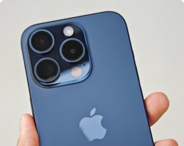 description de l'article