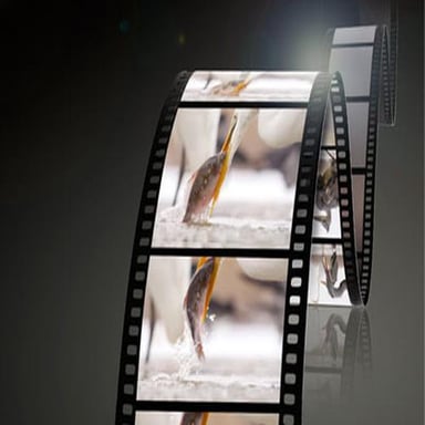 Panasonic LUMIX G Vario 35-100mm F4.0-F5.6 Asph. MEGA OIS SLR Objetivo telefoto zoom Negro