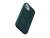 Njord byELEMENTS Salmon Leather Magsafe Case for iPhone 15, Vert