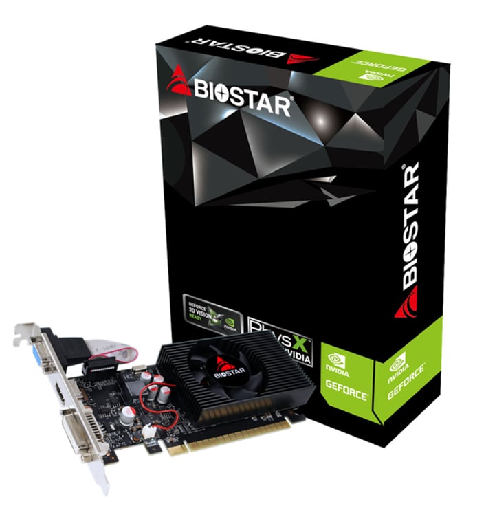 Biostar GeForce GT730 NVIDIA GeForce GT 730 4 Go GDDR3 Neuf