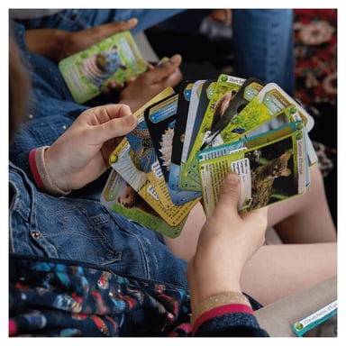 Boostez vos aventures avec le jeu de cartes Défis Nature Protect