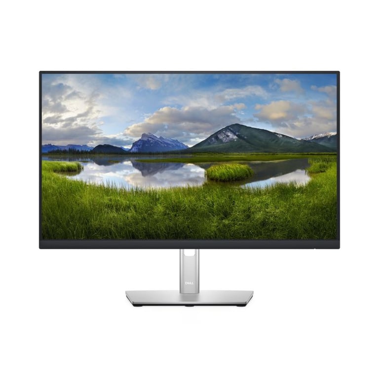 Dell P2422H - vue 3