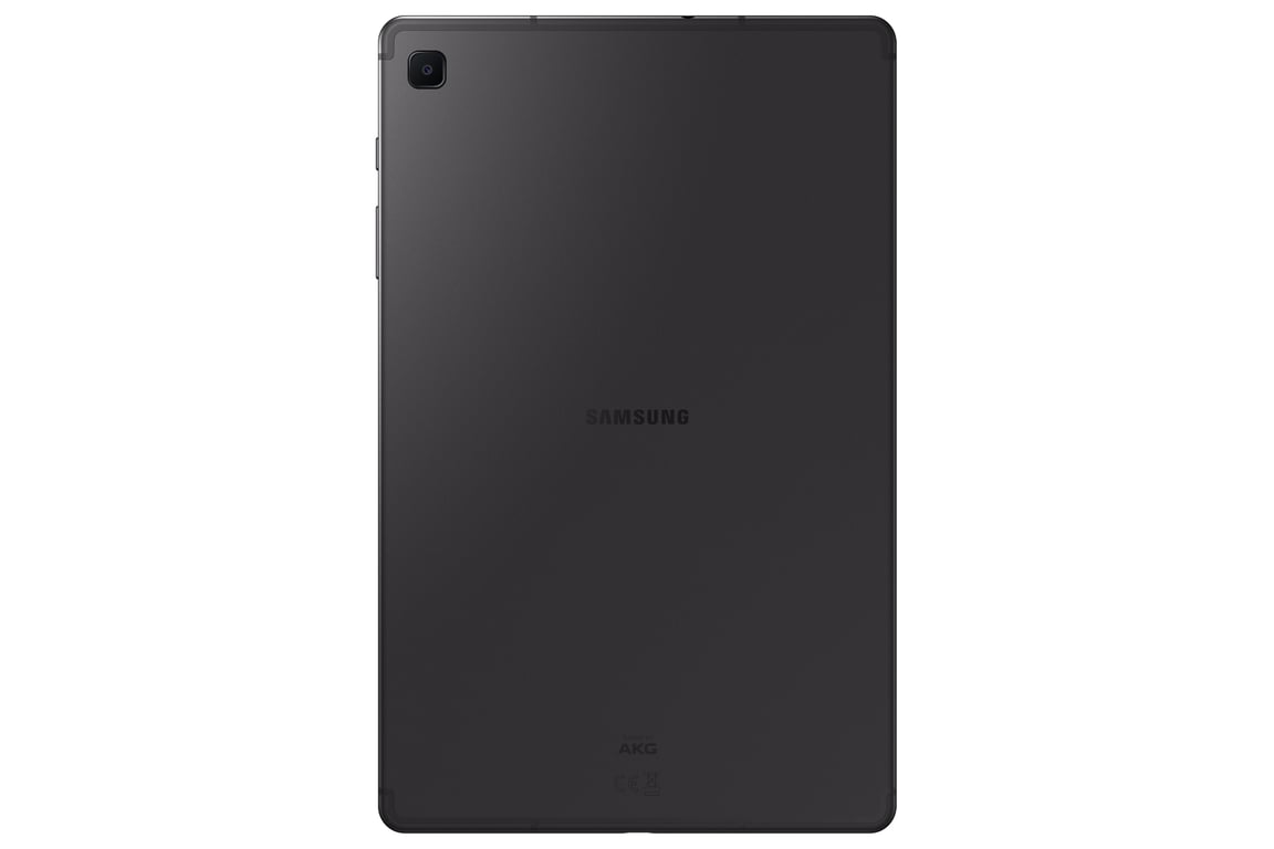 Samsung Galaxy Tab S6 Lite SM-P613N Qualcomm Snapdragon 64 GB 26,4 cm (10.4